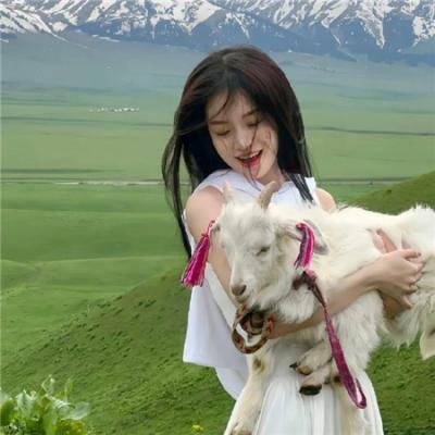 铁汉艳娘