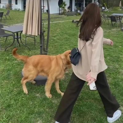 通识教育